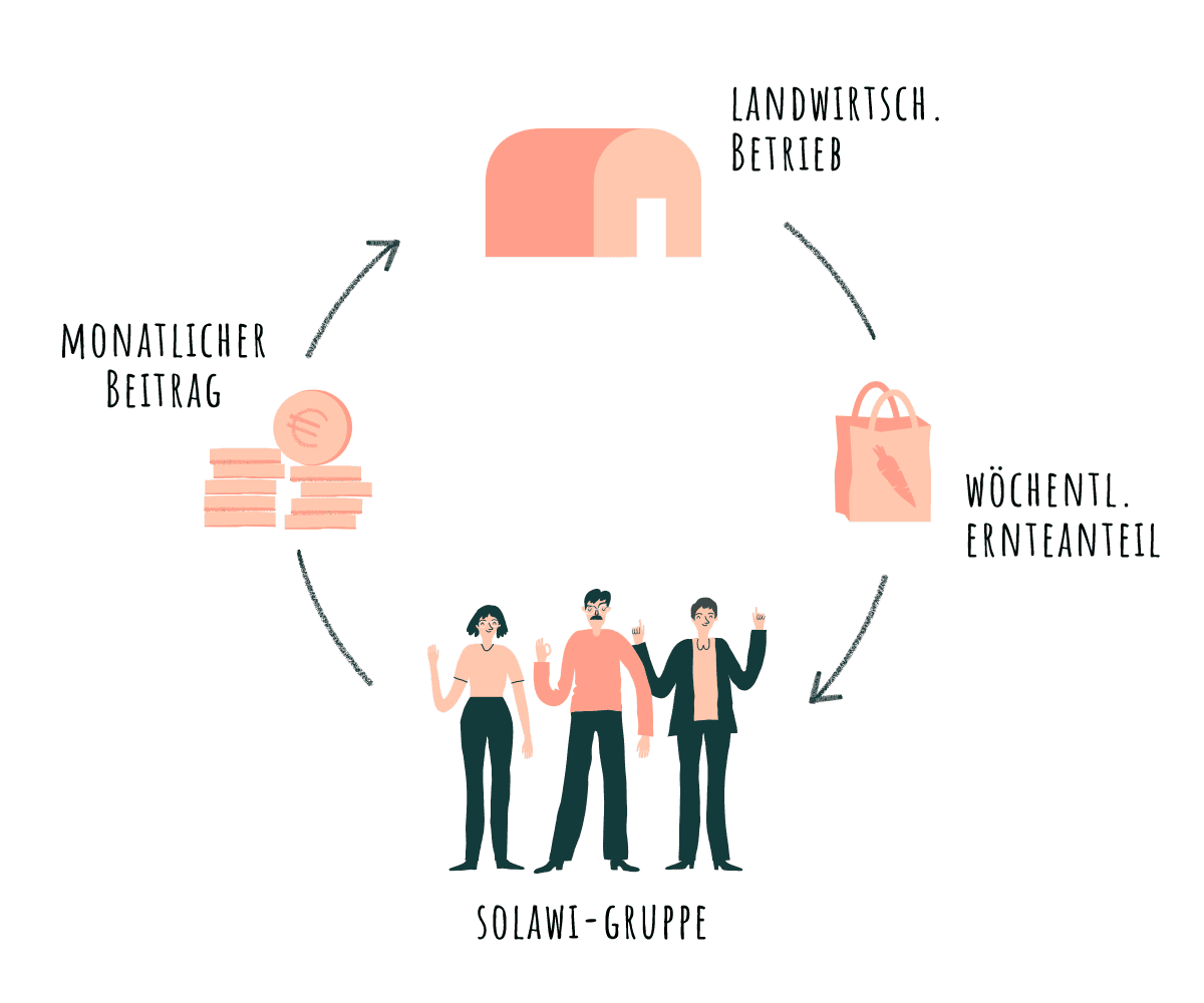 Solidarische Landwirtschaft erklärt